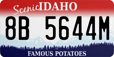 ID license plate 8B5644M