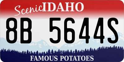 ID license plate 8B5644S