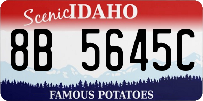 ID license plate 8B5645C