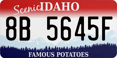 ID license plate 8B5645F