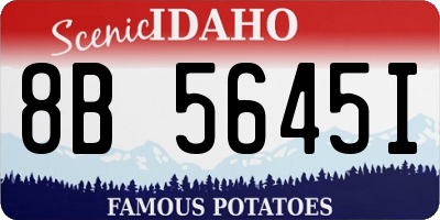 ID license plate 8B5645I