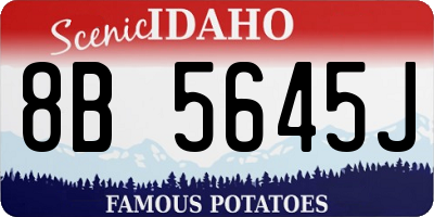 ID license plate 8B5645J