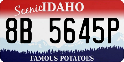 ID license plate 8B5645P
