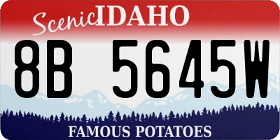 ID license plate 8B5645W