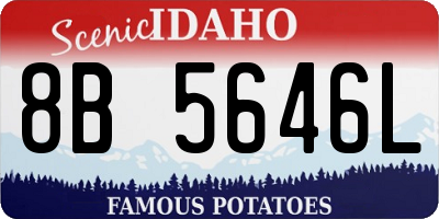 ID license plate 8B5646L