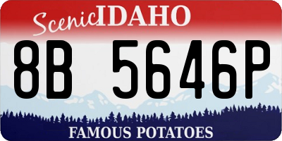 ID license plate 8B5646P