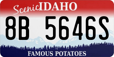 ID license plate 8B5646S