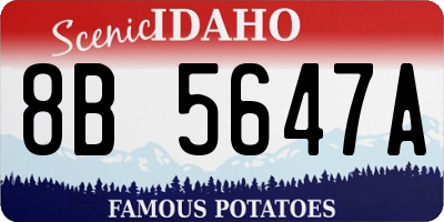 ID license plate 8B5647A