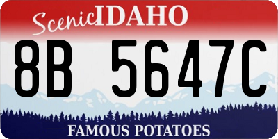 ID license plate 8B5647C