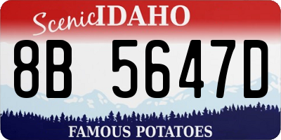 ID license plate 8B5647D