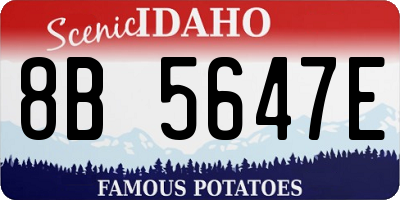 ID license plate 8B5647E
