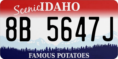 ID license plate 8B5647J
