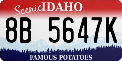 ID license plate 8B5647K