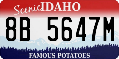 ID license plate 8B5647M