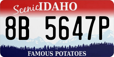 ID license plate 8B5647P