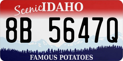 ID license plate 8B5647Q