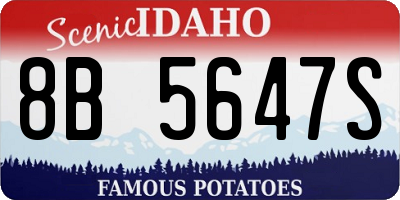 ID license plate 8B5647S
