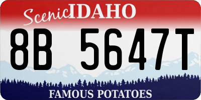 ID license plate 8B5647T