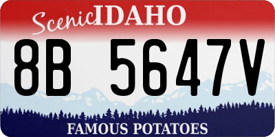 ID license plate 8B5647V