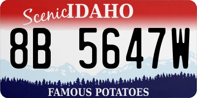 ID license plate 8B5647W