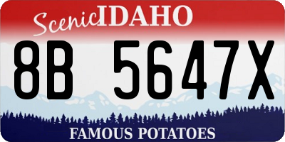ID license plate 8B5647X