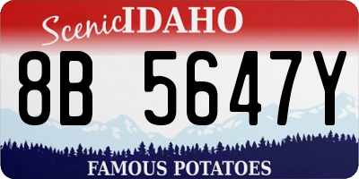 ID license plate 8B5647Y