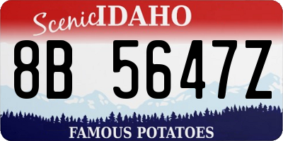 ID license plate 8B5647Z
