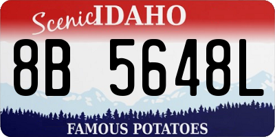 ID license plate 8B5648L