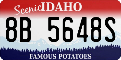 ID license plate 8B5648S