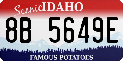 ID license plate 8B5649E