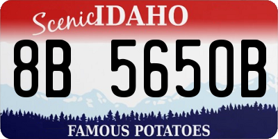 ID license plate 8B5650B