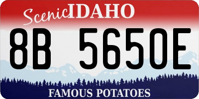 ID license plate 8B5650E