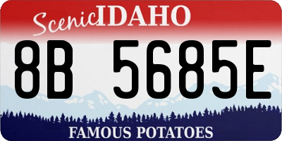 ID license plate 8B5685E