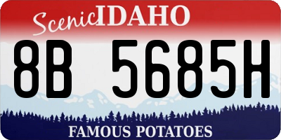 ID license plate 8B5685H