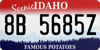 ID license plate 8B5685Z
