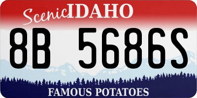 ID license plate 8B5686S