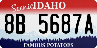 ID license plate 8B5687A