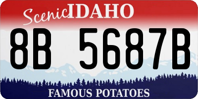 ID license plate 8B5687B