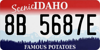 ID license plate 8B5687E