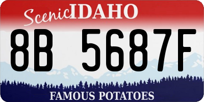 ID license plate 8B5687F
