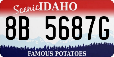 ID license plate 8B5687G