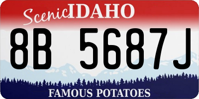 ID license plate 8B5687J