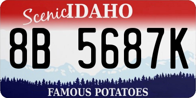 ID license plate 8B5687K
