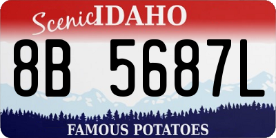 ID license plate 8B5687L