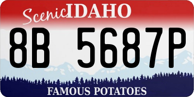 ID license plate 8B5687P