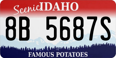 ID license plate 8B5687S