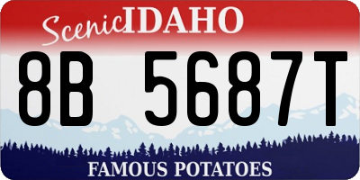 ID license plate 8B5687T
