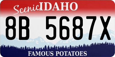 ID license plate 8B5687X