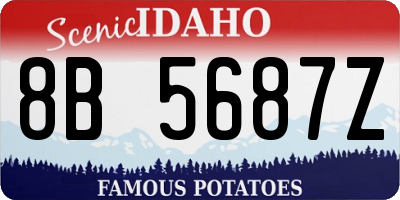 ID license plate 8B5687Z