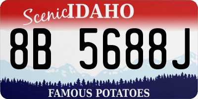 ID license plate 8B5688J